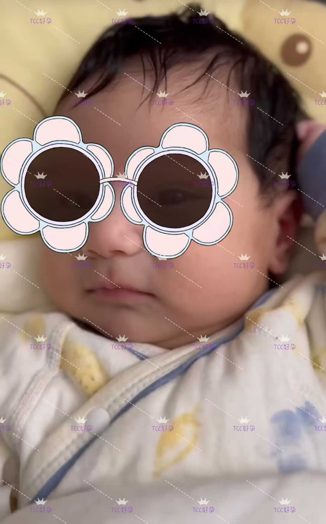 格鲁项目P哥已经顺利把宝宝从第比利斯接回国内，小公